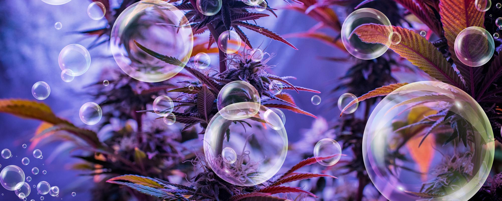 Understanding The Power Of PERCS